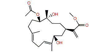 Dendronpholide D